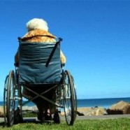 About Alzheimers