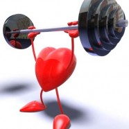 Cholesterol
