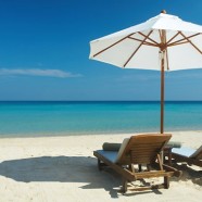 Disabled Holidays