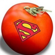 ‘Superfoods’