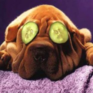 How Much ‘Beauty Sleep’ You Really Need