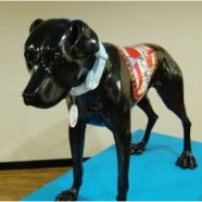 Black Dog Tribe