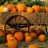 Healthy Autumn